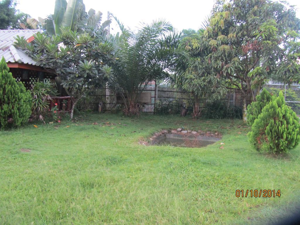 Orange Grove Resort Pai Extérieur photo