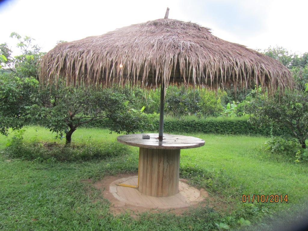 Orange Grove Resort Pai Extérieur photo